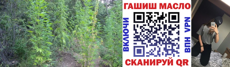 ТГК Wax  даркнет формула  МЕГА ссылка  Куровское  магазин продажи наркотиков 