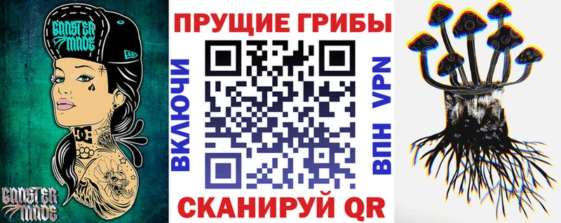 Псилоцибиновые грибы Psilocybine cubensis  Куровское 