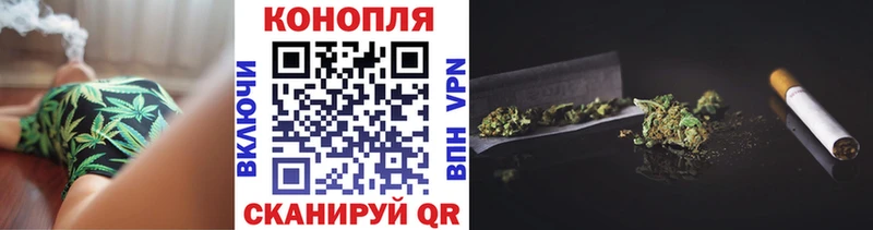 Каннабис планчик  Куровское 